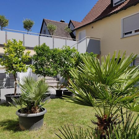 Haus Zum Schlosspark Veitshöchheim Eksteriør billede