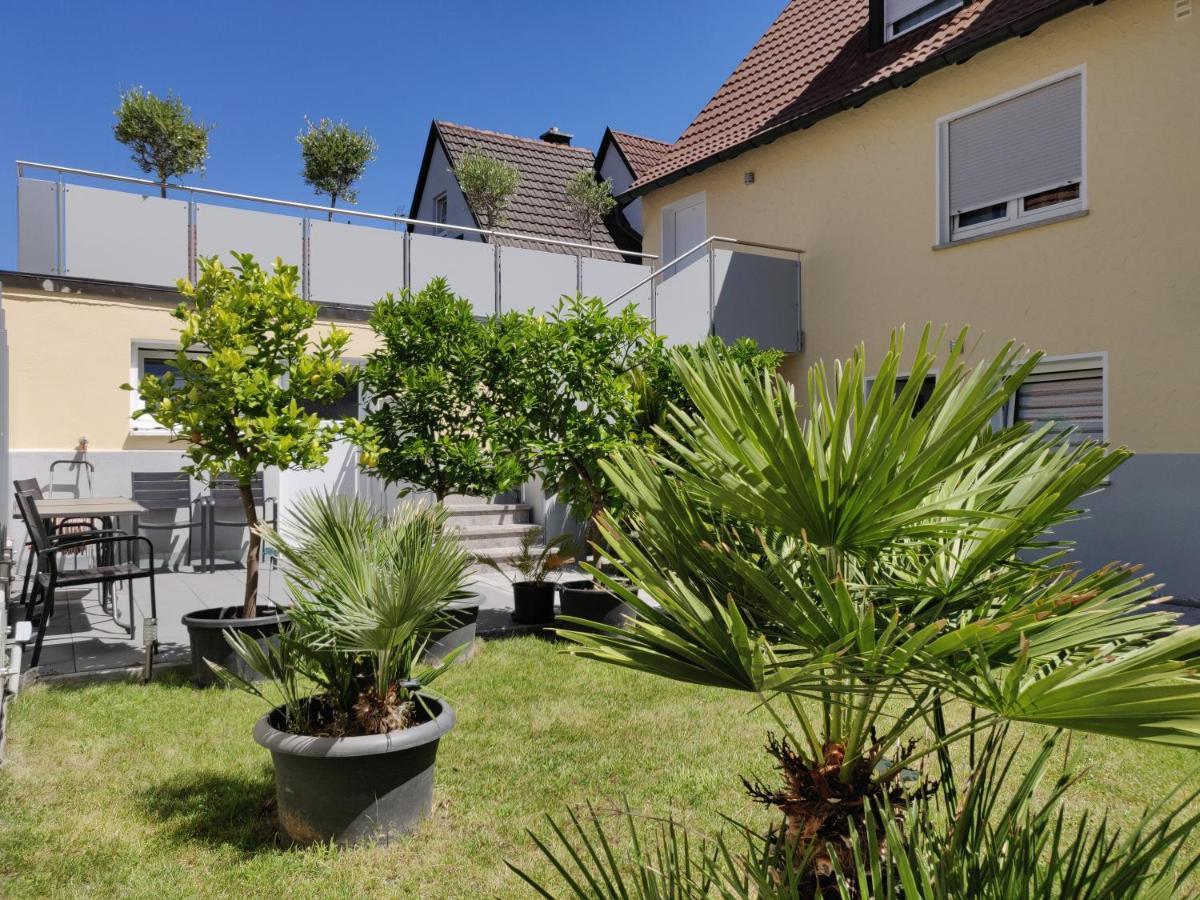 Haus Zum Schlosspark Veitshöchheim Eksteriør billede